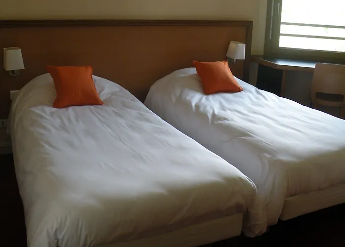 Hotel Hotel Restaurant Du Parc De La Colombiere