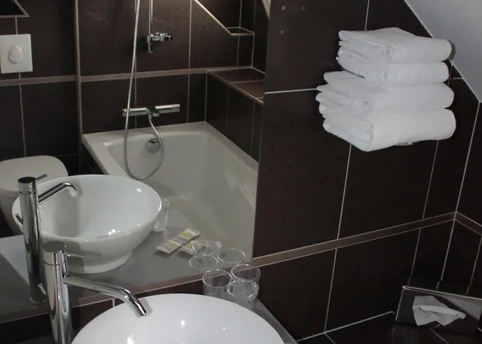 Hotel Hotel Restaurant Du Parc De La Colombiere Dijon